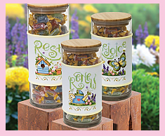 Spring Jar Set- Rest, Renew & Rejoice